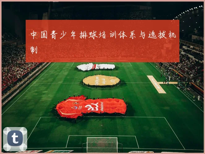 中国青少年排球培训体系与选拔机制