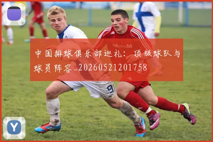 中国排球俱乐部巡礼:顶级球队与球员阵容_20260521201758