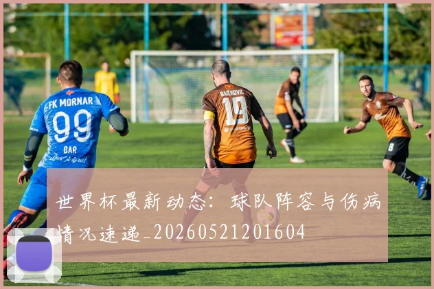 世界杯最新动态:球队阵容与伤病情况速递_20260521201604