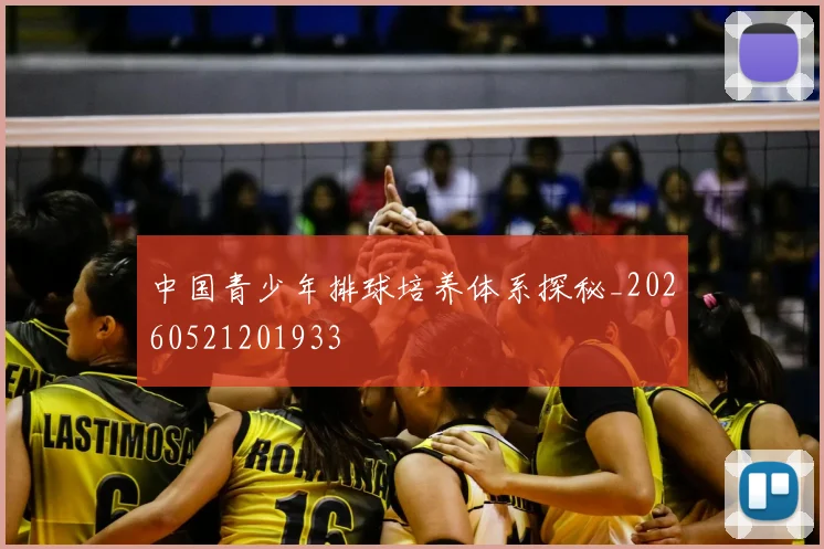 中国青少年排球培养体系探秘_20260521201933